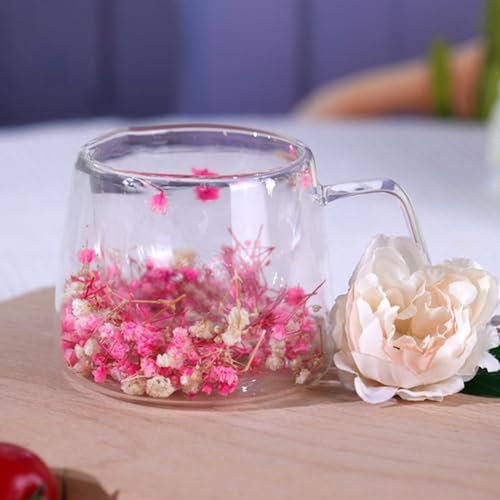 Richaa Getrocknete Blumen Doppelwandige Gläser mit Griff 200ml Latte Macchiato Gläser Cappuccino Tassen Kaffeetassen Mug Originelle Geschenke Coffee Glasses