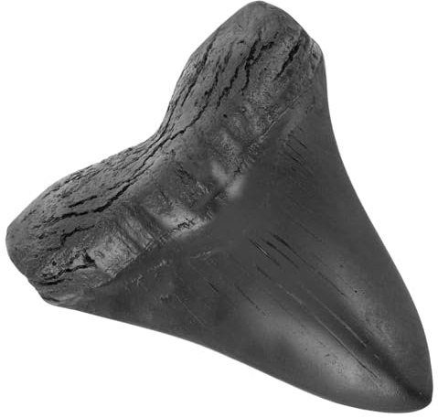 HOOTNEE Nashorn Megalodon Zahndekor aus Kunstharz für Sammler | Realistisch Detailiertes Modell, Schwarze Schreibtischdekoration, für Zuhause und Geschenk