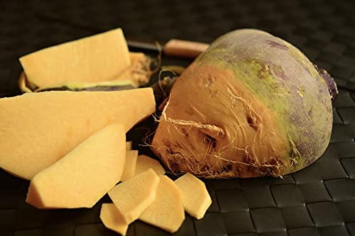 Lot de 200 Graines de Chou Navet Rutabaga Jaune à Collet Rouge - Variété Savoureuse et Tendre - A cuisiné Frit, en ragoût ou en pot-au-feu - Graines Garantie Germination - Semences Reproductibles