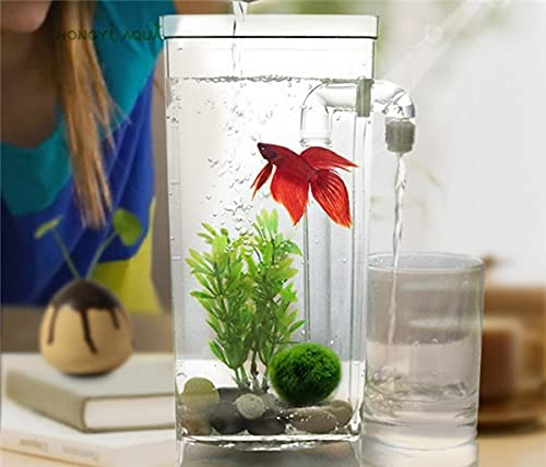 Aquarium Kunststoff faule Aquarette Kleine Aquarium Mini Goldfischschüssel Quadratische Fischtank Runde Fischtank Ökologisch Fischbund Rransparen Fischtank ( Color : Square fish tank , Size : S )