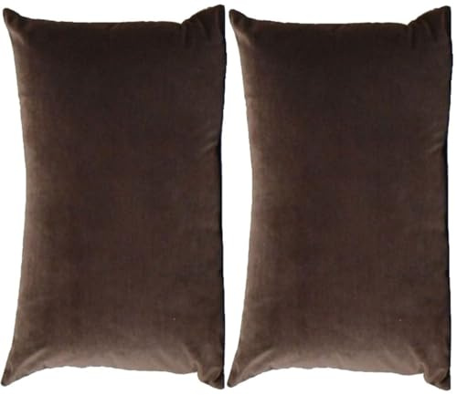 Kissenhülle 50x70 Samt Sofa Kissenbezüge 40x70 ,2er Set Couch Kissenbezug 60x80 Dekokissen Bezug Rechteck Pillow Cases,Dekokissen Überzug Waschbar Moderne Pillowcase ( Color : #26 , Size : 50x70 cm se