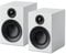 Pro-Ject Speaker Box 3 E Carbon, Compact Audiophile 2-Way Shelf Speaker (White)