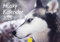 Edition Seidel Premium Kalender Husky 2025 Format DIN A3 Wandkalender Hundekalender Huskys Hund Welpe Hunderasse Haustier