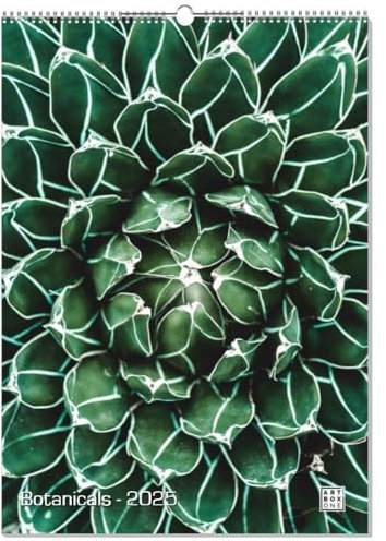 artboxONE Kalender 2026 Botanicals Wandkalender A2 2026 Natur