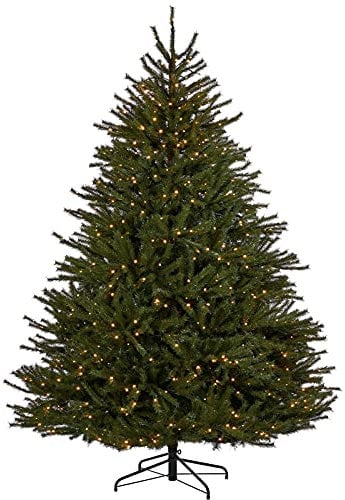 WeRChristmas Pre-Lit Foxtail Pine Christmas Tree, 550 Warm White LED Lights, Green, 6 ft / 1.8 m
