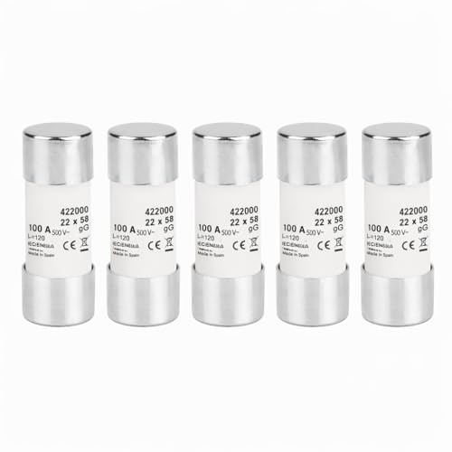 WEBMATEL Fusible de Tubo Cerámico Cilíndrico 22 * 58mm - Pack de 5 Unidades - 125A - 400VAC - Tipo gG