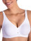 Lady Bella Lingerie Classic Lady PA0193 Reggiseno Contenitivo Strutturato per Taglie Forti in Microfibra Senza Ferretto Coppa D Preformata Spallina Larga by