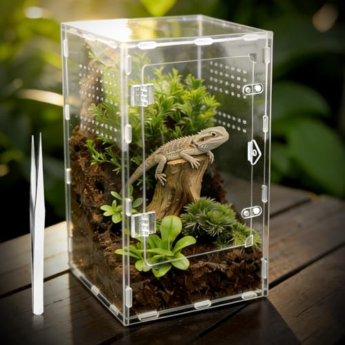 GTSEEMUU Faunarium, Insektenterrarium, Acryl-Terrarium, Allzweckbehälter für Reptilien, Amphibien, Sprungspinnen, Vogelspinnen, Schnecken, Frösche und Insekten, 20 x 20 x 35 cm