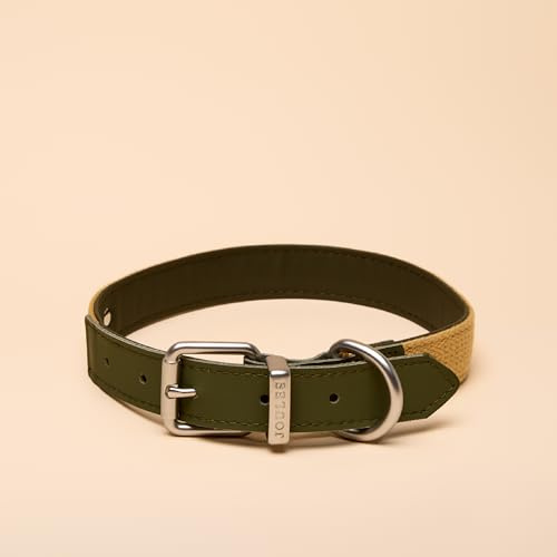 Rosewood x Joules Khaki Dog Collar, Large – Durable Leather and Webbing Detail, Stylish Design with Brushed Metal Buckle, Premium Pet Accessory
