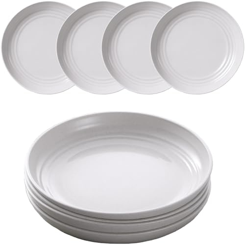 Lot de 4 assiettes en plastique réutilisables, incassables, 23 cm, assiettes de camping légères pour pique-nique, salade, pâtes, fête, maison, bureau, passent au lave-vaisselle et au micro-ondes (gris