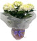 Garden Center shop by VM Hortensia Planta Natural Especial para Regalar 50X40CM (Blanco)