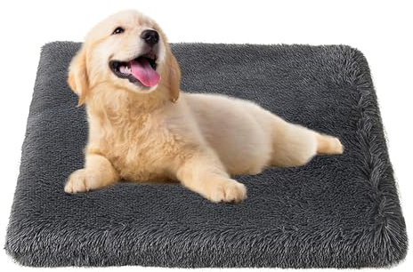 Bizcasa Hundebett, 75x50x6cm Hundekissen, Hundebett Grosse Hunde Waschbar, Plüsch Hundekissen, Flauschige Hundematte, rutschfeste Unterseite