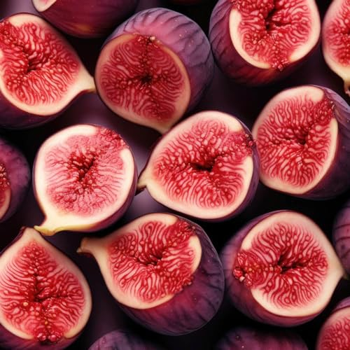 120 Pcs Feigenbaum Winterhart Samen, Feigen, Feige Topfpflanzen Draußen Winterhart, Bio Samen, Ficus Carica, Gartenpflanzen Winterhart Mehrjährig, Bonsaibaum Kleine Geschenke Terraplanter,