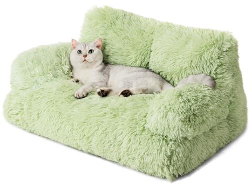 MEWOOFUN stilvoll katzenbett katzensofa flauschig - 76x45cm katzenbett große Katzen Plush katzencouch für kleine Hunde und Katzen Abnehmbar und waschbar (grün)