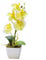 Orchids Artificial in Pots, Artificial Flowers in Pot, Simulated Flower, 5 Heads Phalaenopsis, Small Bonsai for Wedding, Party, Flower Arrangement, Home, Kitchen Decor(yellow)