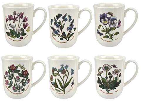 Botanic Garden Tulip Beakers - Set of 6