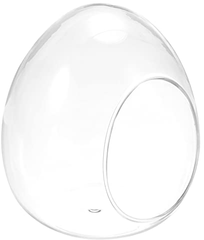 PATIKIL Globus Terrasse Luftpflanze 4.6 Eiform Hoch Borosilikatglas Dekoration Klar
