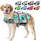 EMUST Giubbotto di salvataggio per cani, regolabile, per cani di taglia piccola, media e grande, con maniglia di salvataggio, gilet di sicurezza per piscina, spiaggia, barca, XL, Greenleaf