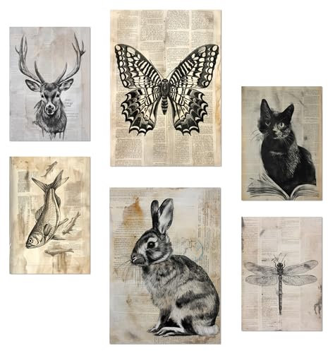Nacnic 6er-Set Vintage-Tiere. Schmetterling, Hirsch, Katze, Fisch, Kaninchenlibelle Poster mit Designillustrationen zur Dekoration der Wände Ihres Zuhauses. Räume, Büro, Laden A3 A4 Rahmenlos