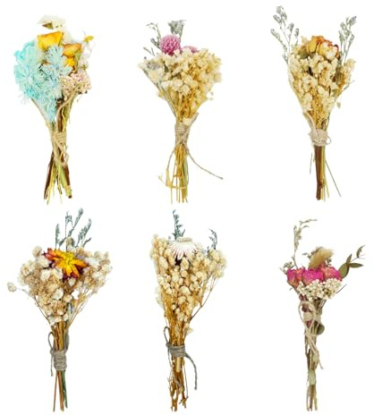 PIWOSGOL 6 Stück Trockenblumenstrauß Klein, Mini Trockenblumen, DIY Trockenblumen, Mini Getrocknete Blumenstrauß, Trockenblumen zum Basteln für Tägliche Heimdekoration Hochzeitsdekoration