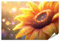 islandburner XXL Bild Poster Sonnenaufgang auf einer Sonnenblume mit Tautropfen Premium Bilder Fotodruck