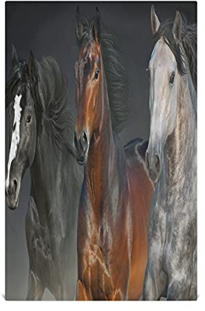 Mnsruu Geschirrtuch mit Pferdemotiv, sehr saugfähig, weich, 71 x 46 cm