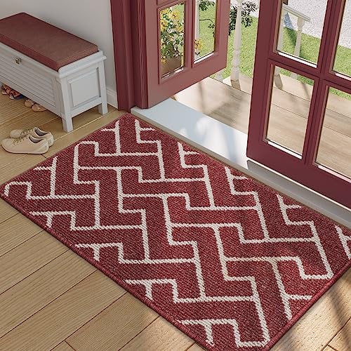 Biscpro Paillasson Intérieur Tapis 60x90cm Entrée Intérieur Extérieur Imperméable,Antidérapant,Absorbant,Tapis pour Entrée,Lavable,Cuisine,Salle de Bain-Rouge