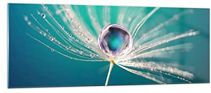 Panorama Bilder auf Glas Pflanze Natur Glasbild 140x50cm Wandbilder Dekoration Wohnzimmer Schlafzimmer Küche Groß XXL Wanddeko Bild im Glas Wand Kunstdruck Art Modern Wall Decor GAB140x50-3991