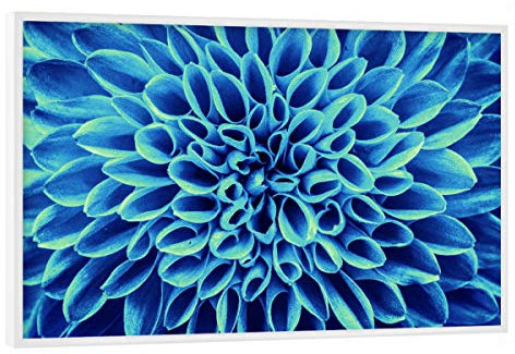 artboxONE Poster mit weißem Rahmen 75x50 cm Floral Blume blau türkis - Bild Blume Blume Pflanze
