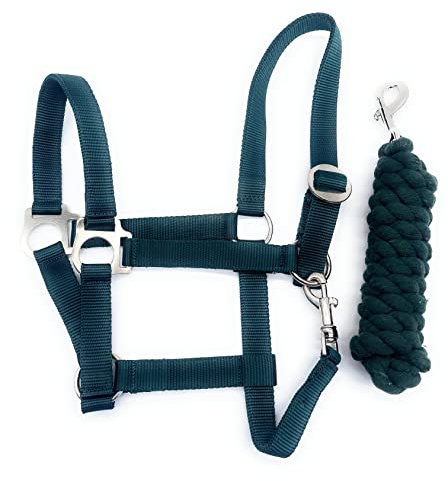 ARBO-INOX Halfter-Set Basic Halfter stufenlos verstellbar mit Führstrick (Full Warmblut, Grün)