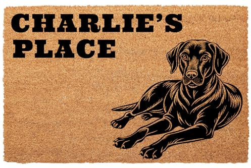 Roseley Personalised Doormat Printed Cat Dog Door Mat Customised Pet Design 40 x 60cm Anti-Slip Indoor Outdoor Home Welcome Mat [Paw-Print Place]