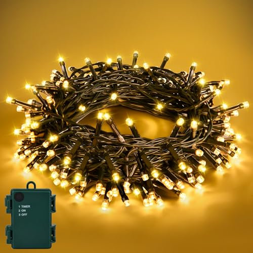 Etopgo Christmas Fairy Lights,3M 30 LED Battery String Lights with 6hTimer,IP65 Waterproof Warm White String Lights for Chriatmas Themed Party Carnival Outdoor/Indoor Decorations