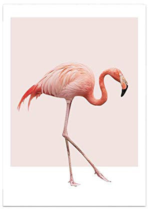 Hochwertiger Leinwanddruck mit Flamingo Motiv A4 21 x 30 cm - Kunstdruck Fine Art Geschenk moderne Poster Print Leinwandbild Wandbild Leinwand Plakat Deko Bild DINA4 (gehender Flamingo)