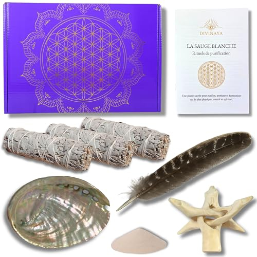 DIVINAYA Coffret 3 bâtons de Sauge Blanche a bruler, 1 Coquille d'Ormeau, 1 Plume, 1 Trépied, Sable et 1 Livret Rituels de Purification, Maison, Méditation. Qualité Premium. Cadeau Spirituel et Zen.