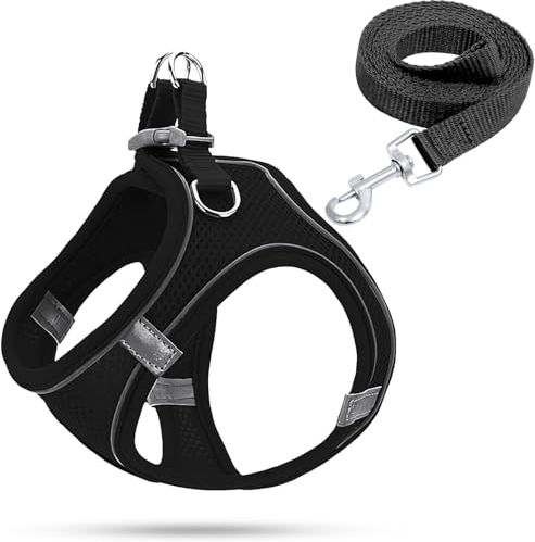 Hundegeschirr Kleine Hunde,Welpengeschirr Katzengeschirr Hunde Geschirr Leuchtend mit Leine,Curli Hundegeschirr Geschirr Hund Welpen Zubehör(Schwarz,M)