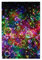 Bunte Regenbogensterne, buntes Holzpuzzle – herausforderndes Bilder-Puzzle-Spiel für Erwachsene und Puzzle-Enthusiasten – 1000-teiliges interaktives Puzzle