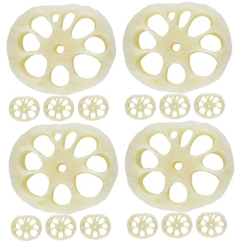 Cabilock 4 Sätze Modell Der Lotuswurzelscheibe Mini-hausdekoration Mini- aturen Zum Basteln Interessantes aturspielzeug -Food-Spielzeug -Essen PVC 4 Stück * 4