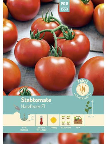 Pabst Keimkraft - Stabtomate sehr früh & widerstandsfähig Harzfeuer F1 Samen - 171550
