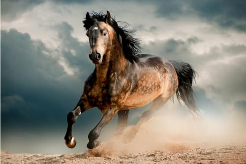 Magnettafel Pinnwand XXL Bild Pferd Wildnis Galopp Größe 80 x 60 cm