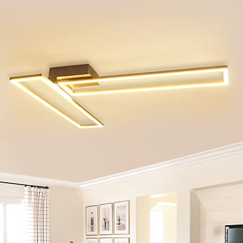 Depuley Plafoniera LED Dimmerabile 40W Lampada da Soffitto Moderne con Telecomando, Lampada da Soggiorno a 2 Luci orientabile, Plafoniere in Metallo per Camera da Letto, Sala, Pranzo, Ufficio, Bianca