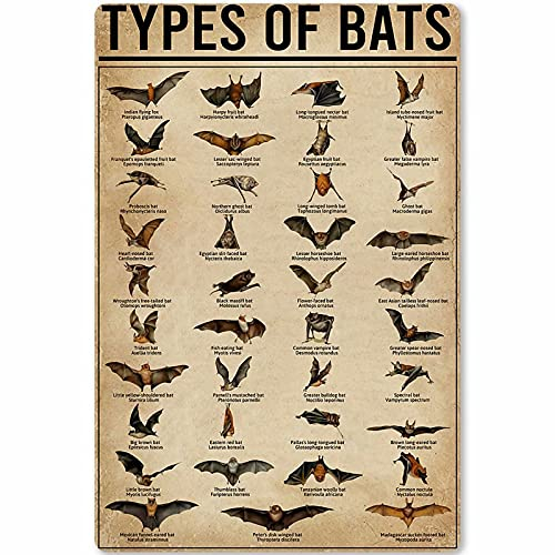 XVBCDFG Types of Bats Metall-Blechschild, Tier-Infografik, Wissen, Poster, Schule, Bildung, Zuhause, Küche, Club, Wanddekoration, Plakette, 20,3 x 30,5 cm