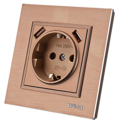 Prise Murale avec Prise Encastrable USB,2 prises USB,Prise murale d'intérieur 250V AC 16A,Prise de terre Couleurs de cuivre Aluminium Panneau Brossé FL-05-L