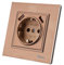 Prise Murale avec Prise Encastrable USB,2 prises USB,Prise murale d'intérieur 250V AC 16A,Prise de terre Couleurs de cuivre Aluminium Panneau Brossé FL-05-L