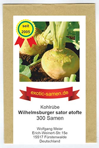 Steckrübe - Kohlrübe - für Speisezwecke - Wilhelmsburger sator øtofte - samenfeste Sorte - 300 Samen