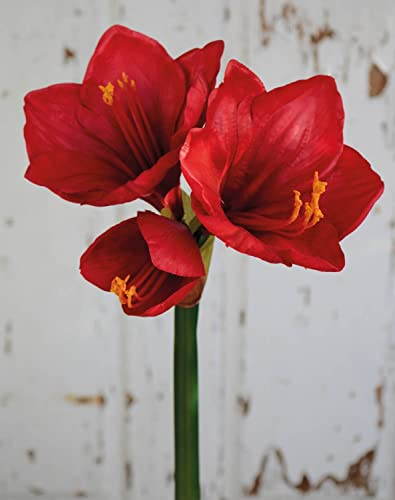 artplants.de Künstliche Amaryllis YOLANTE, rot, 70cm, Ø23cm - Textil Amaryllis, 67830
