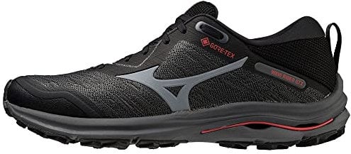Mizuno Herren Wave Rider GTX Laufschuh, Iron Gate/Oyster Mushroom/Bittersweet, 44 EU