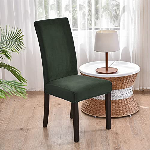 Morbuy Samt Stuhlhussen Set Stretch Stuhlbezug für Esszimmerstühle, Einfarbig Velvet Waschbarer Stuhlhussen Schwingstühle Stuhlüberzug für Haus Hotel Hochzeit Partys (4er Set,Grün)