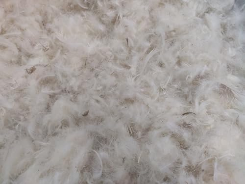 TM Maxx Federn Feder Daunen Lose Füllung für Kissen 50% Gänsedaunen 50% Gänsefedern Kissenfüllung Grundpreis für 1Kg -39,99Euro