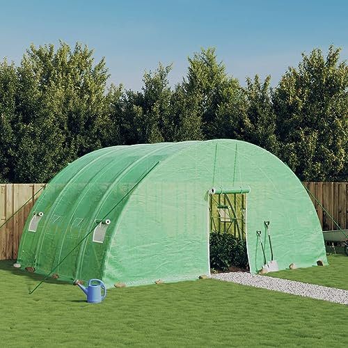 INLIFE Serre avec Cadre en Acier Vert 24 m² 6x4x2,85 m Maison,Jardin,Pelouses,Jardins,Jardinage,Serres de Jardin Vert 44.6KG