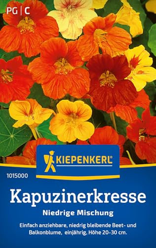 Kiepenkerl Kapuzinerkressesamen Niedrige Mischung 1015000 - Blumensamen für Beet- und Balkonblumen mit einer Wuchshöhe von 20 bis 30 cm - Saatgut, Pflanzen